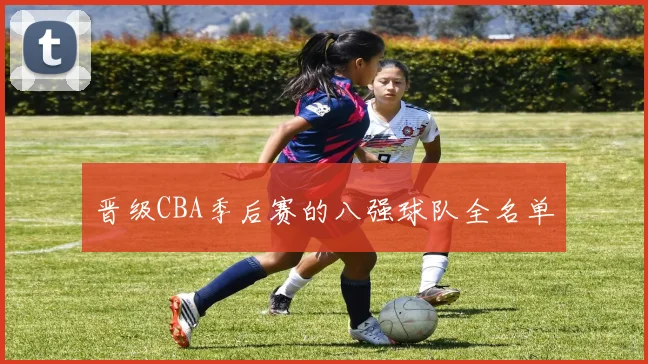 晋级CBA季后赛的八强球队全名单