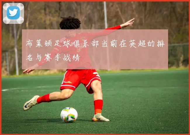 布莱顿足球俱乐部当前在英超的排名与赛季战绩