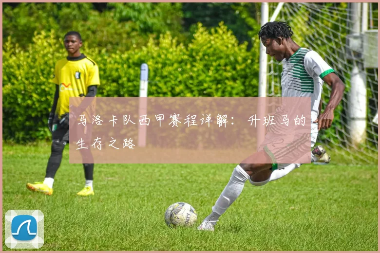 马洛卡队西甲赛程详解：升班马的生存之路
